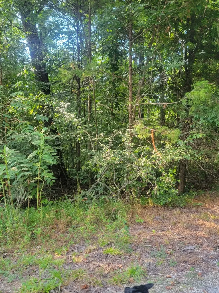 5395 Eastport Dock Road Monroe TN 38573