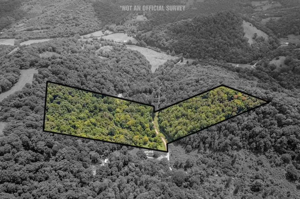 0 Watts Hollow Road Buffalo Valley TN 38548