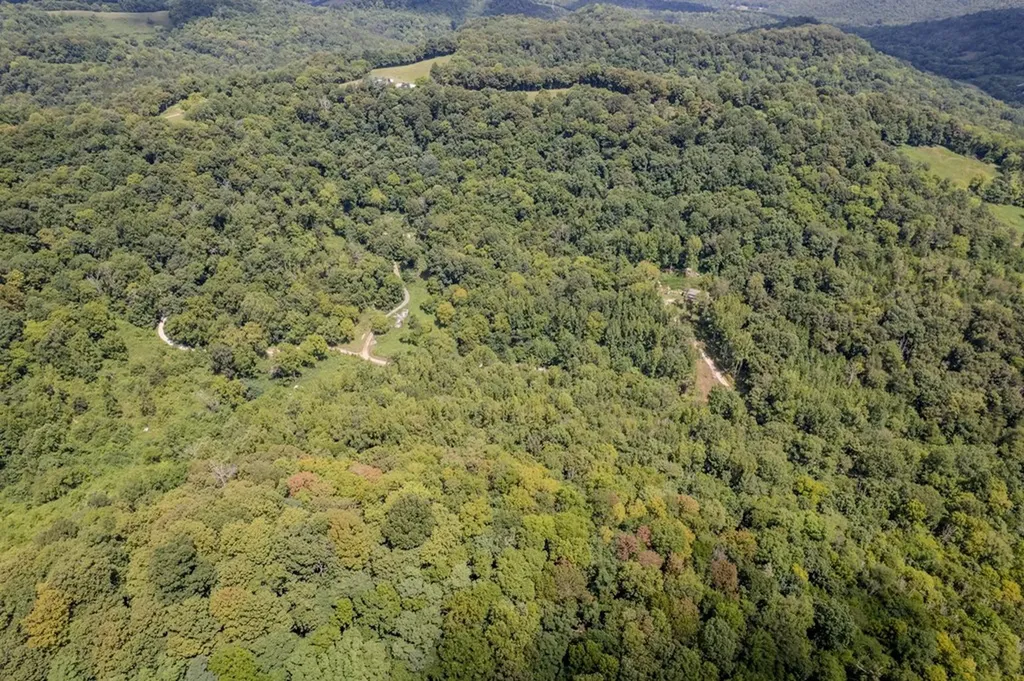 0 Watts Hollow Road Buffalo Valley TN 38548