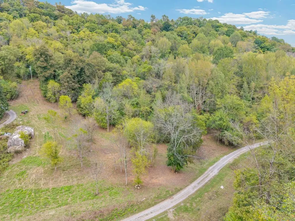 0 Watts Hollow Road Buffalo Valley TN 38548
