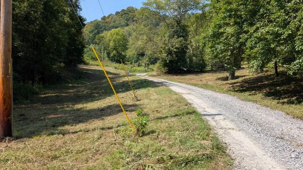 0 Watts Hollow Road Buffalo Valley TN 38548