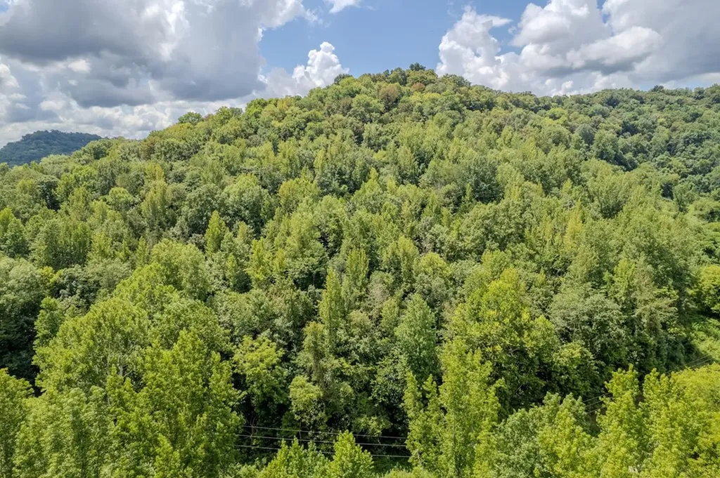 0 Watts Hollow Road Buffalo Valley TN 38548