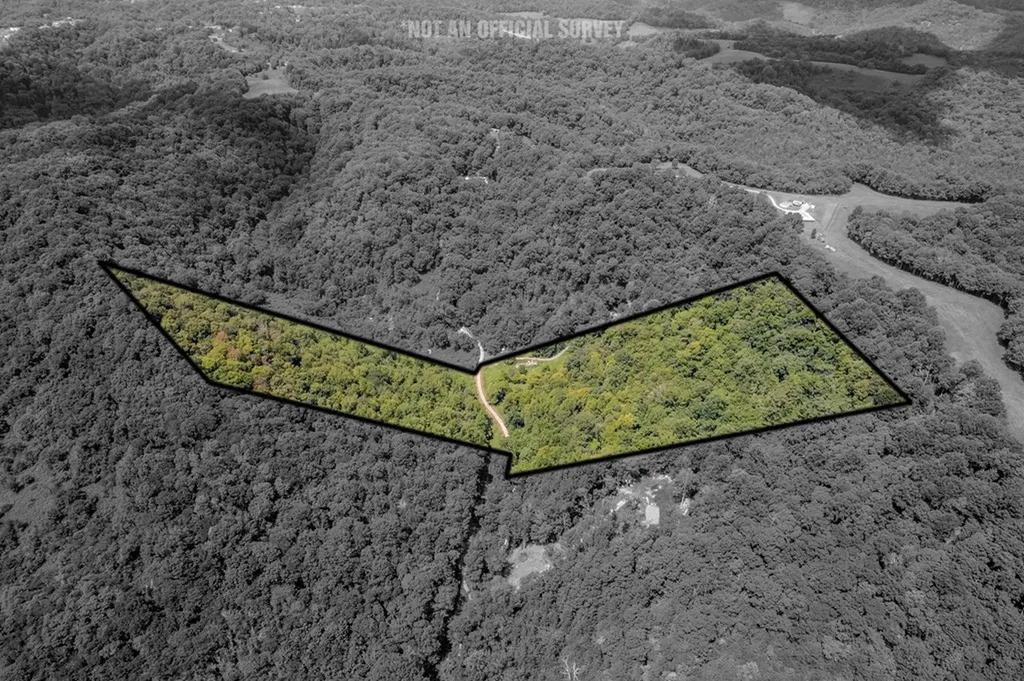 0 Watts Hollow Road Buffalo Valley TN 38548