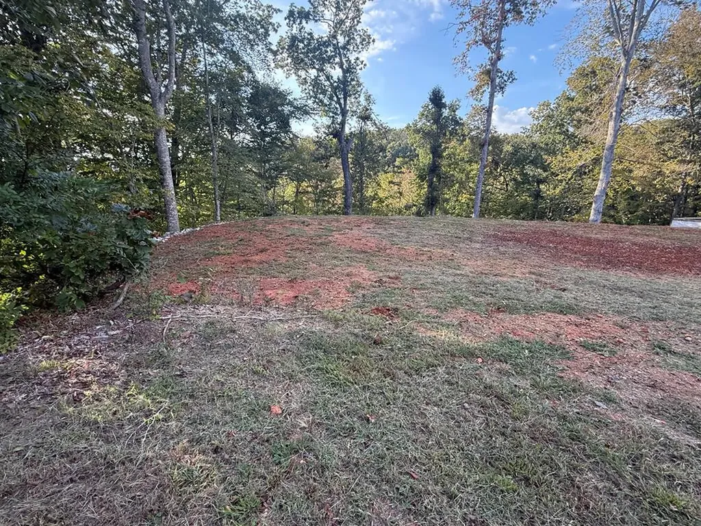 29/30 Osprey Lane Byrdstown TN 38549