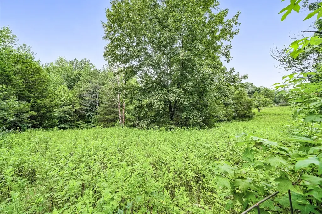 311 Deweys Lane Walling TN 38587