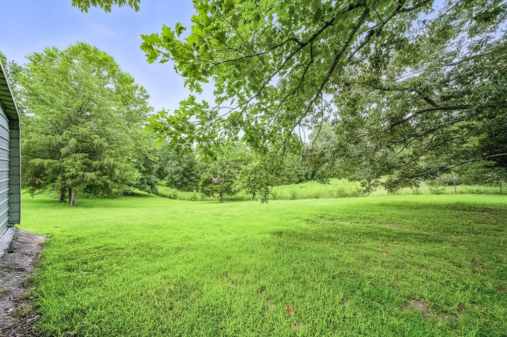 311 Deweys Lane Walling TN 38587