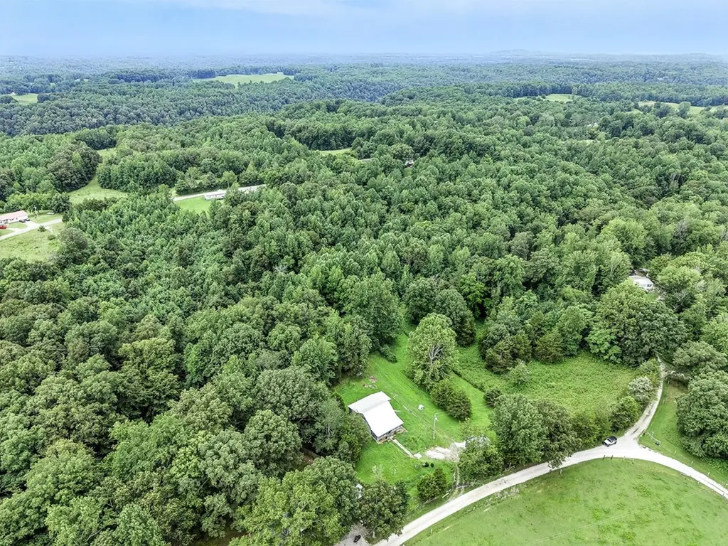 311 Deweys Lane Walling TN 38587