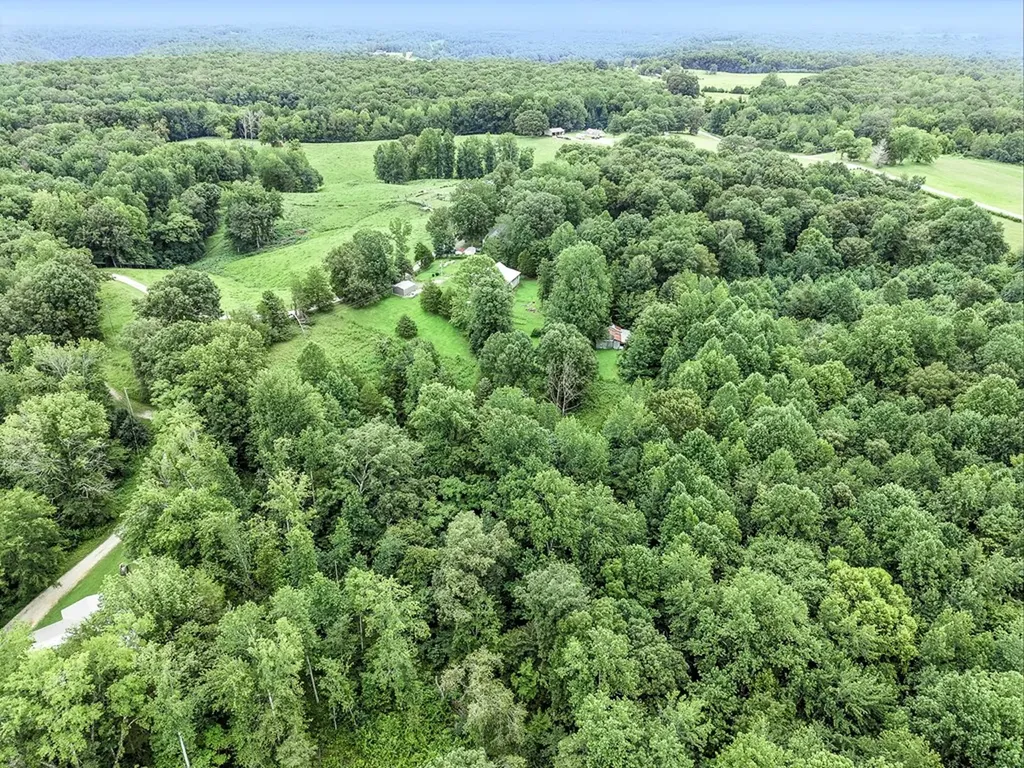 311 Deweys Lane Walling TN 38587