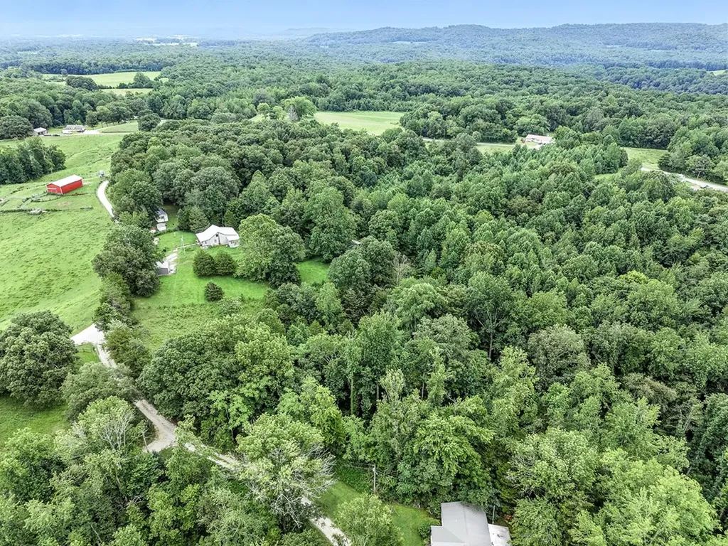 311 Deweys Lane Walling TN 38587