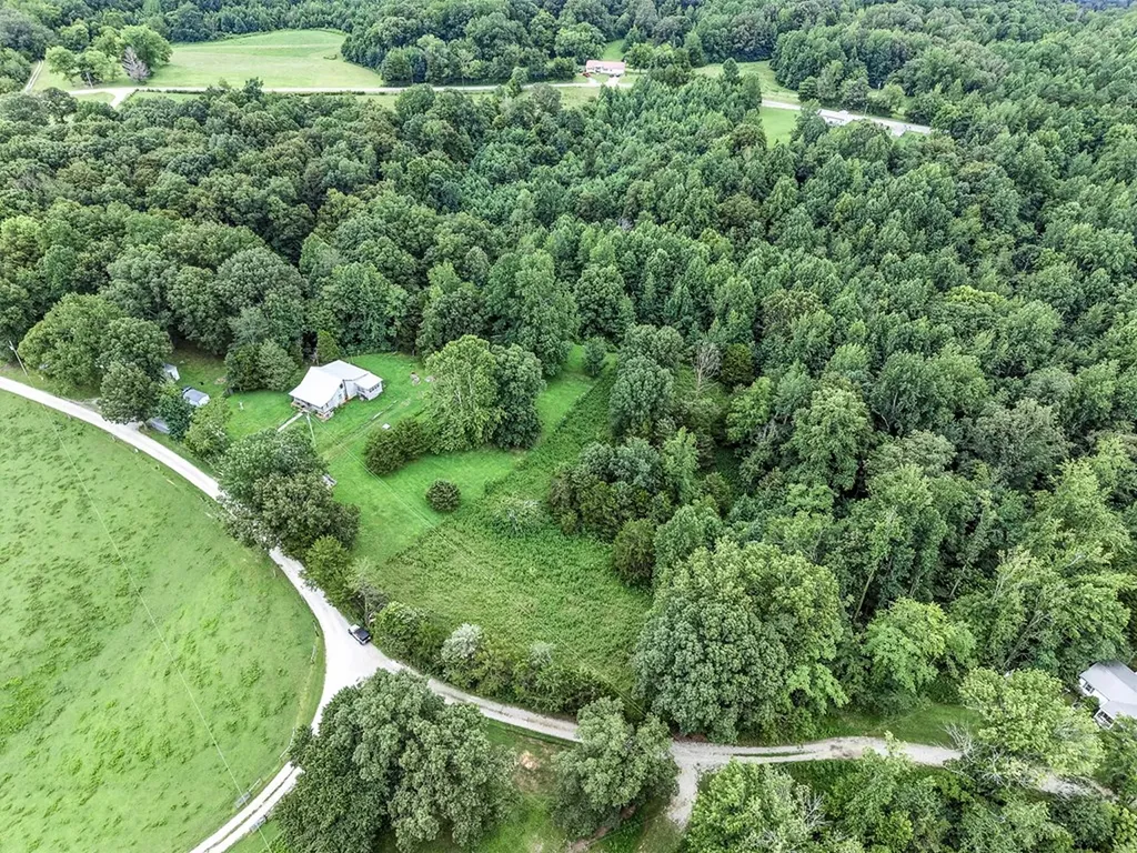 311 Deweys Lane Walling TN 38587
