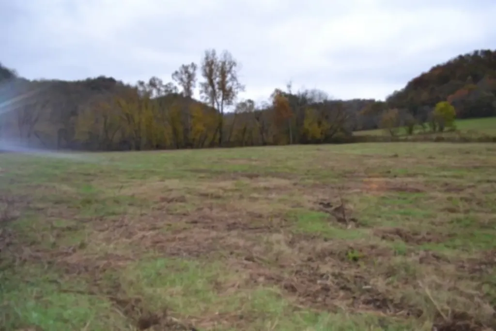 146 Copeland Road Celina TN 38551