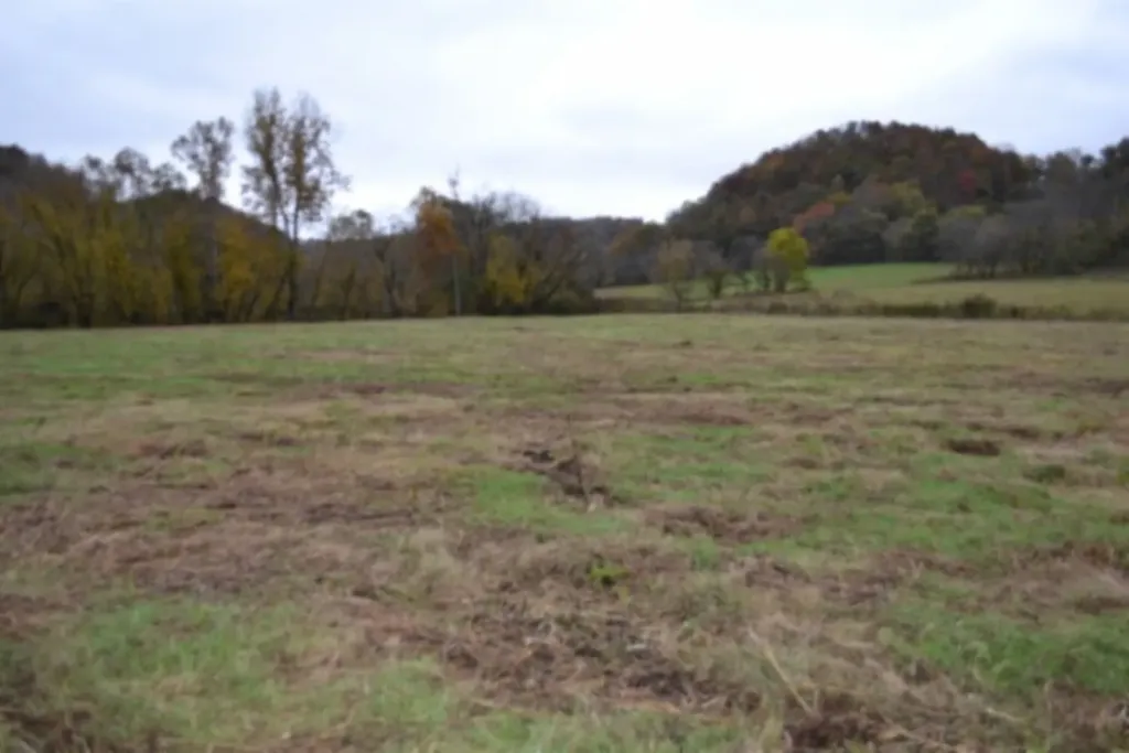 146 Copeland Road Celina TN 38551