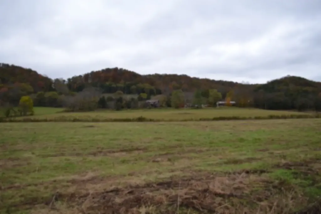 146 Copeland Road Celina TN 38551