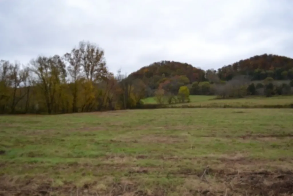146 Copeland Road Celina TN 38551