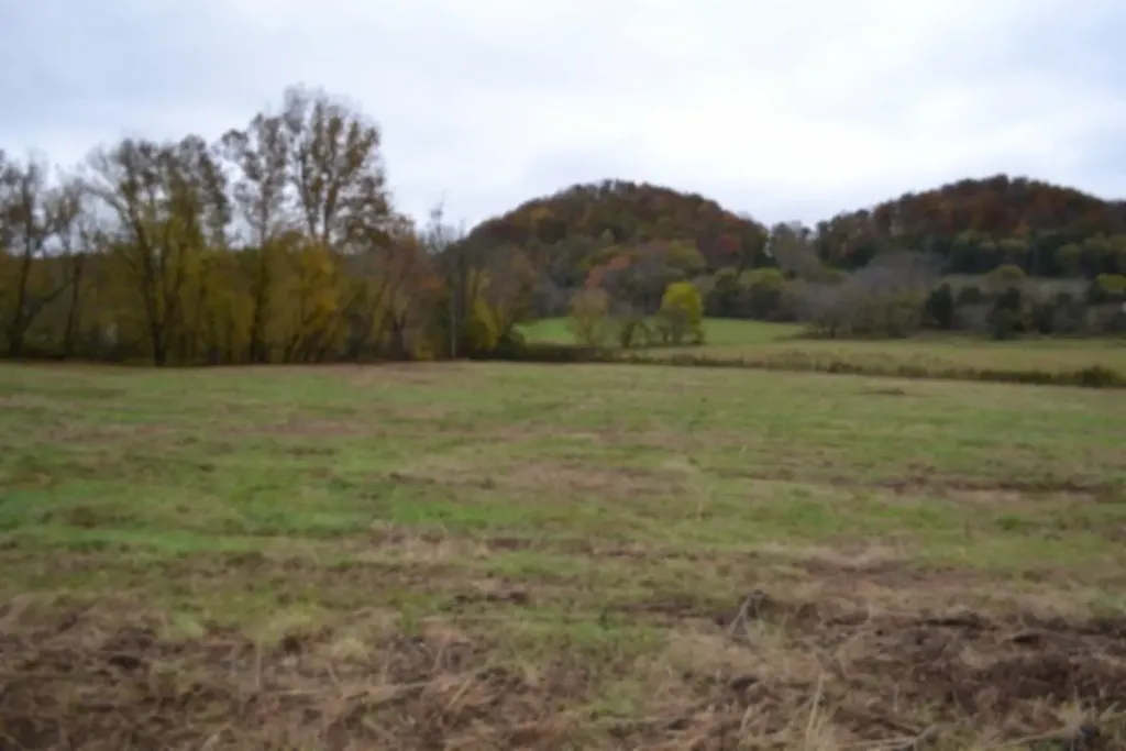 146 Copeland Road Celina TN 38551