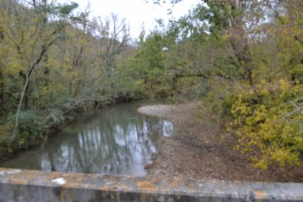 146 Copeland Road Celina TN 38551