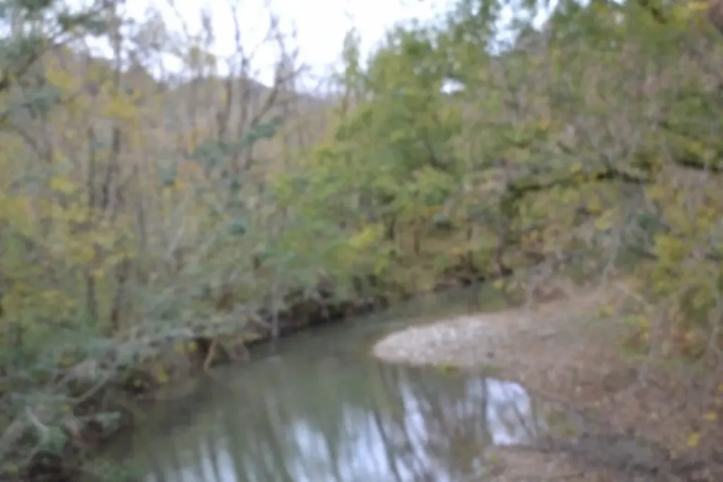 146 Copeland Road Celina TN 38551