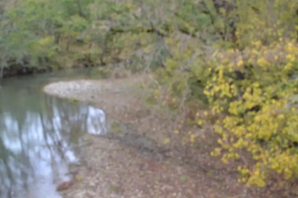 146 Copeland Road Celina TN 38551