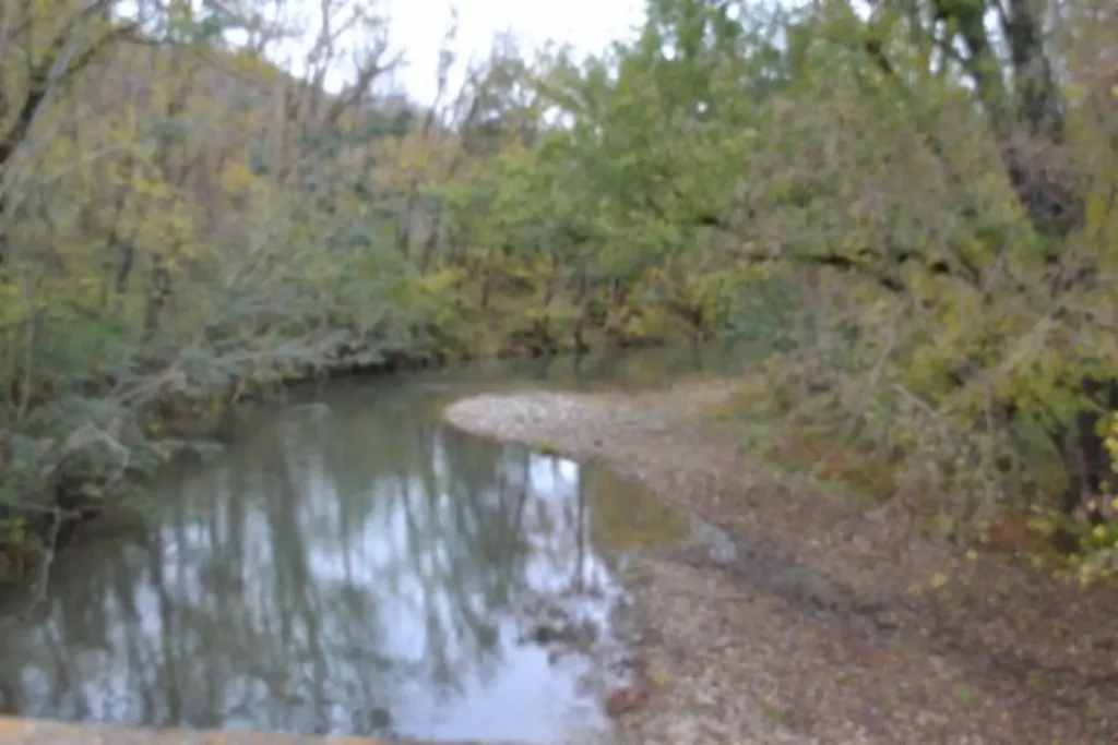 146 Copeland Road Celina TN 38551