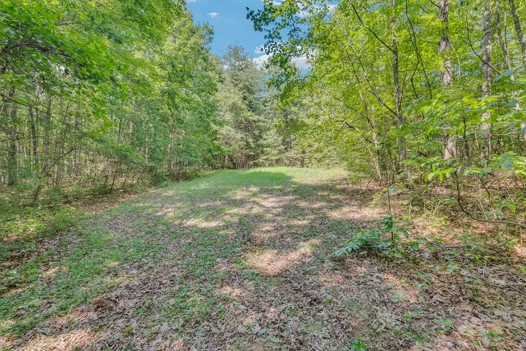 150 Soak Creek Lane Grandview TN 37337