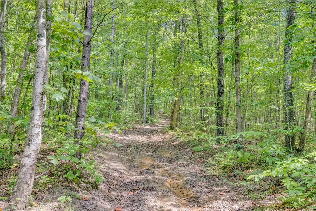 150 Soak Creek Lane Grandview TN 37337