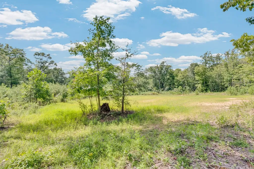150 Soak Creek Lane Grandview TN 37337