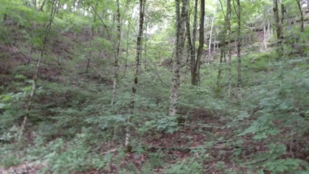 2.64AC Old Highway 53 S. Celina TN 38551