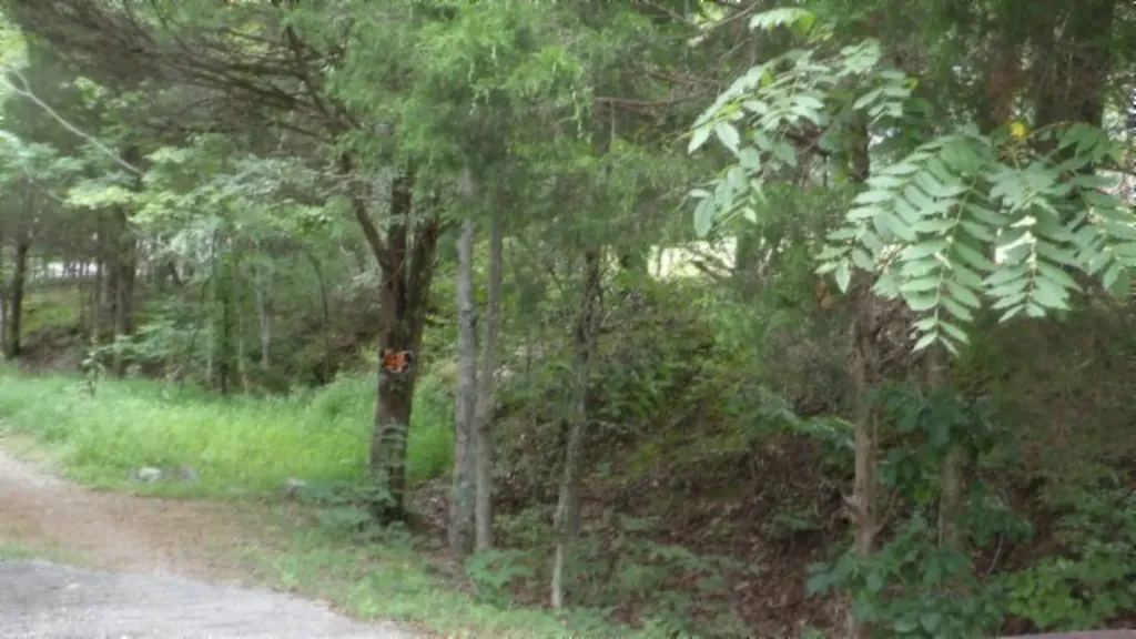 2.64AC Old Highway 53 S. Celina TN 38551