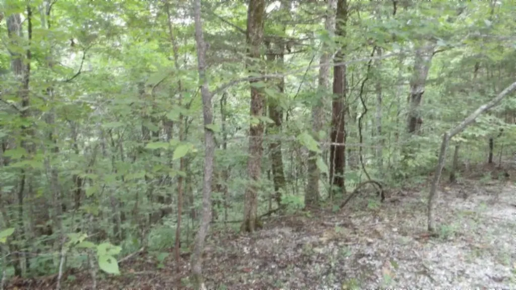 2.64AC Old Highway 53 S. Celina TN 38551