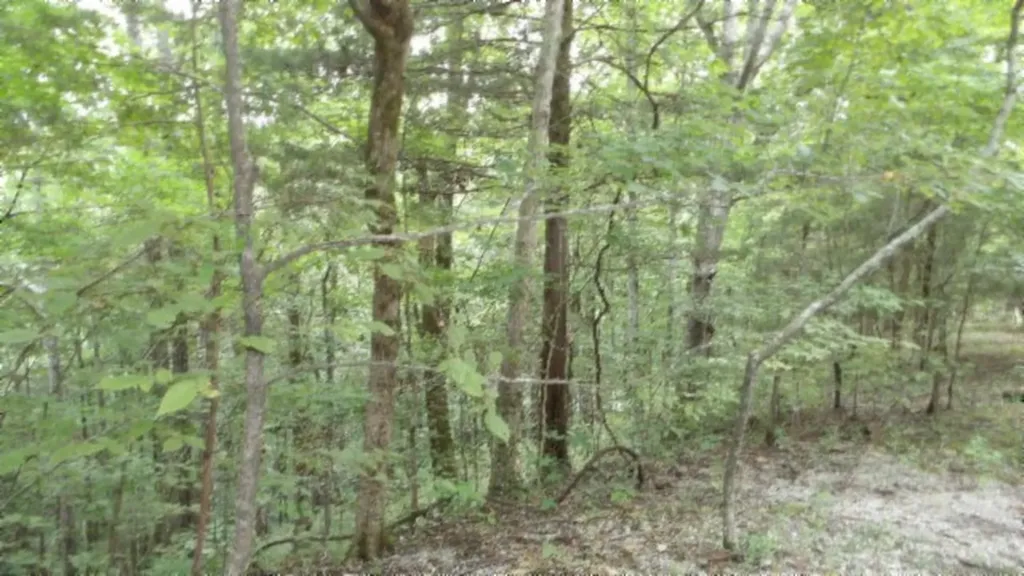 2.64AC Old Highway 53 S. Celina TN 38551