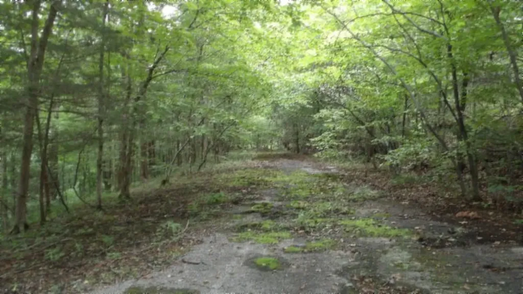 2.64AC Old Highway 53 S. Celina TN 38551