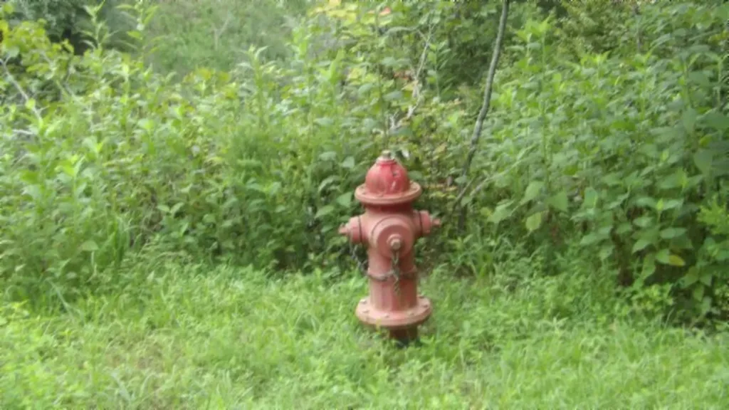 2.64AC Old Highway 53 S. Celina TN 38551