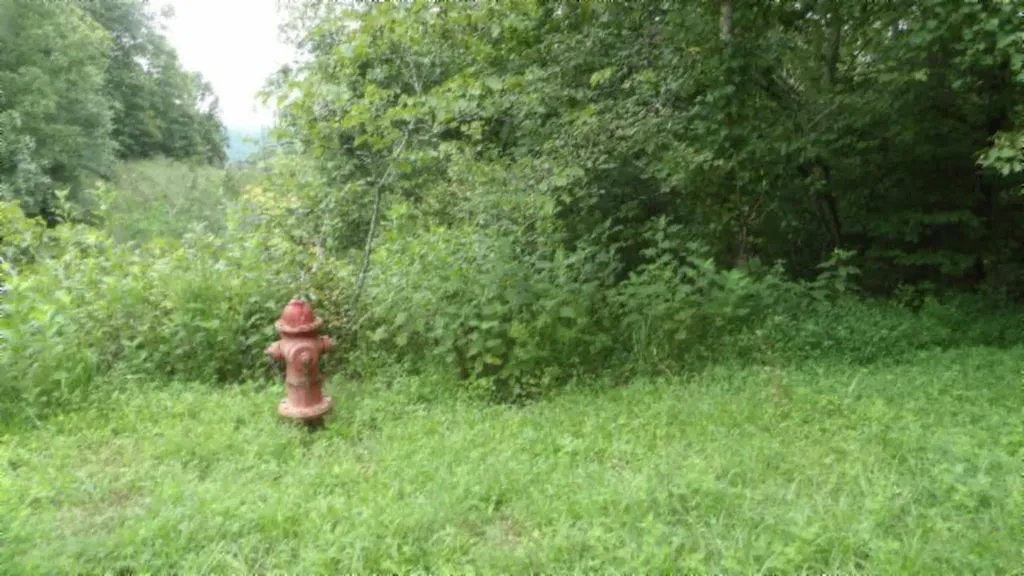 2.64AC Old Highway 53 S. Celina TN 38551
