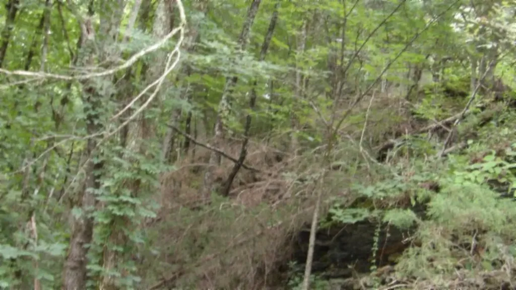 2.64AC Old Highway 53 S. Celina TN 38551