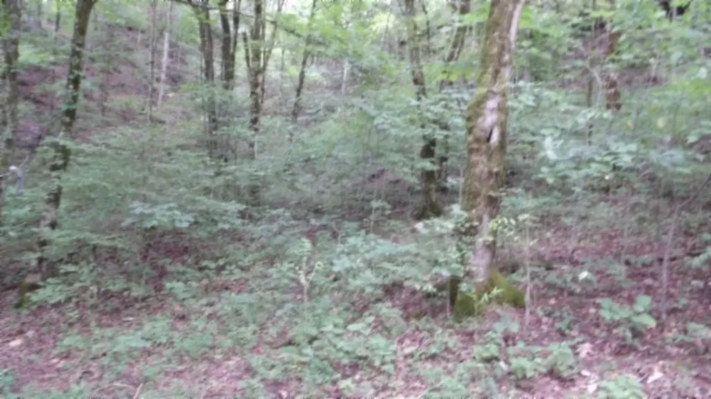 2.64AC Old Highway 53 S. Celina TN 38551