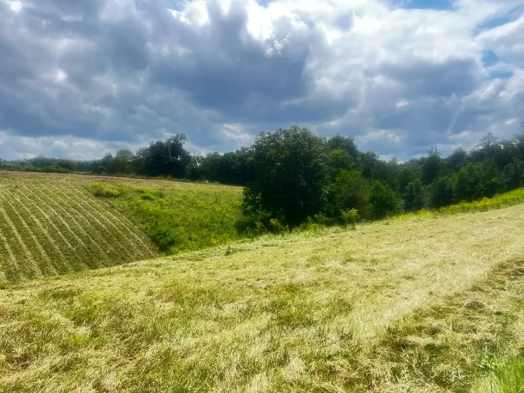 0 Dyer Ridge Road Baxter TN 38544