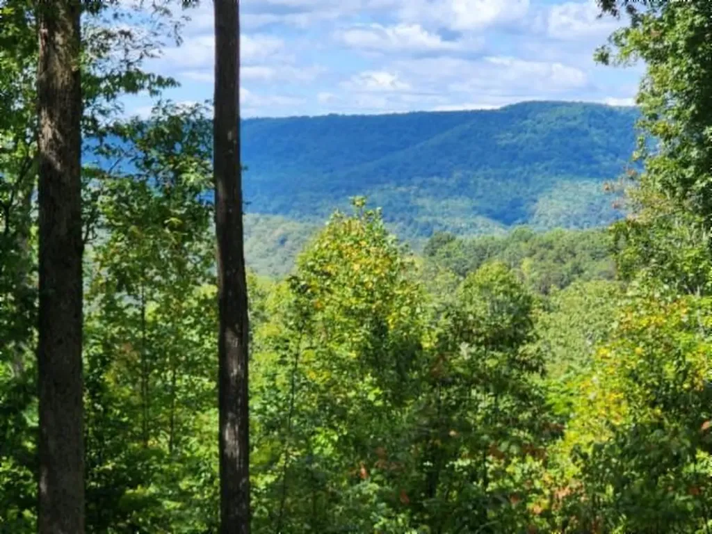 Lot 73 Tomahawk Road Jamestown TN 38556