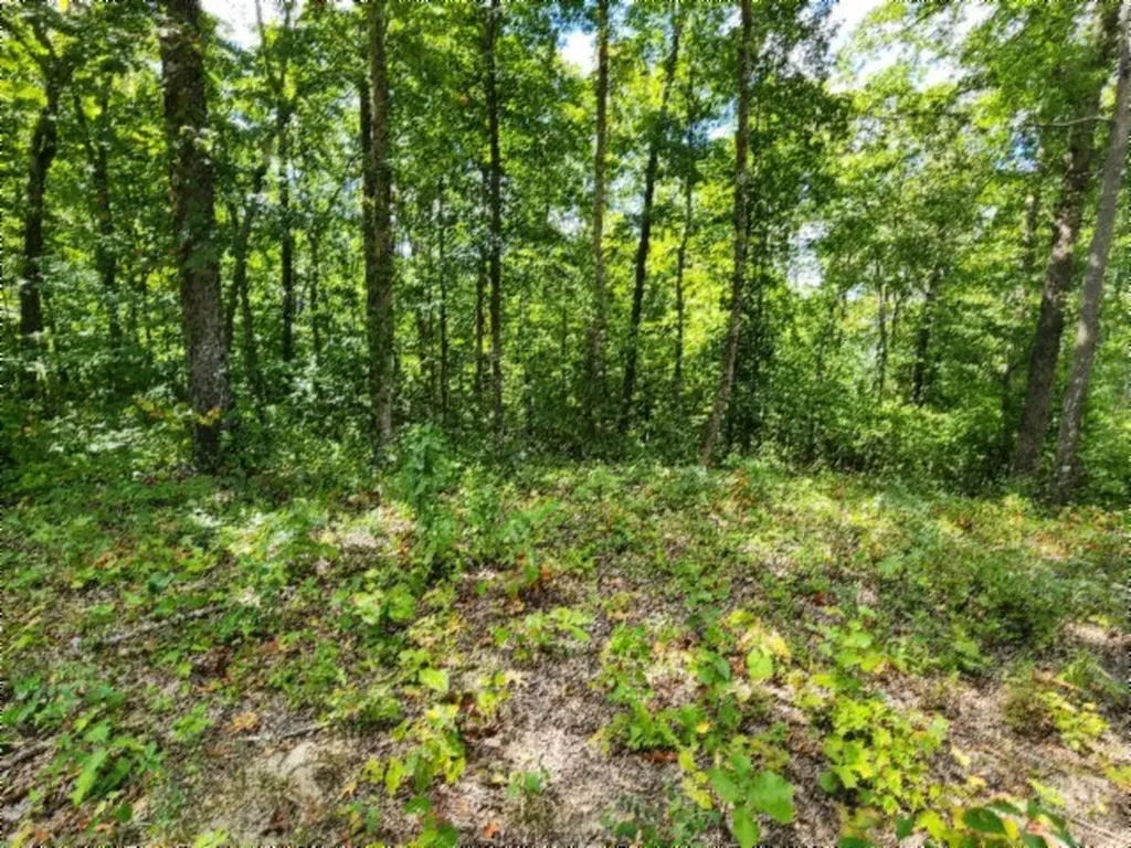 Lot 73 Tomahawk Road Jamestown TN 38556