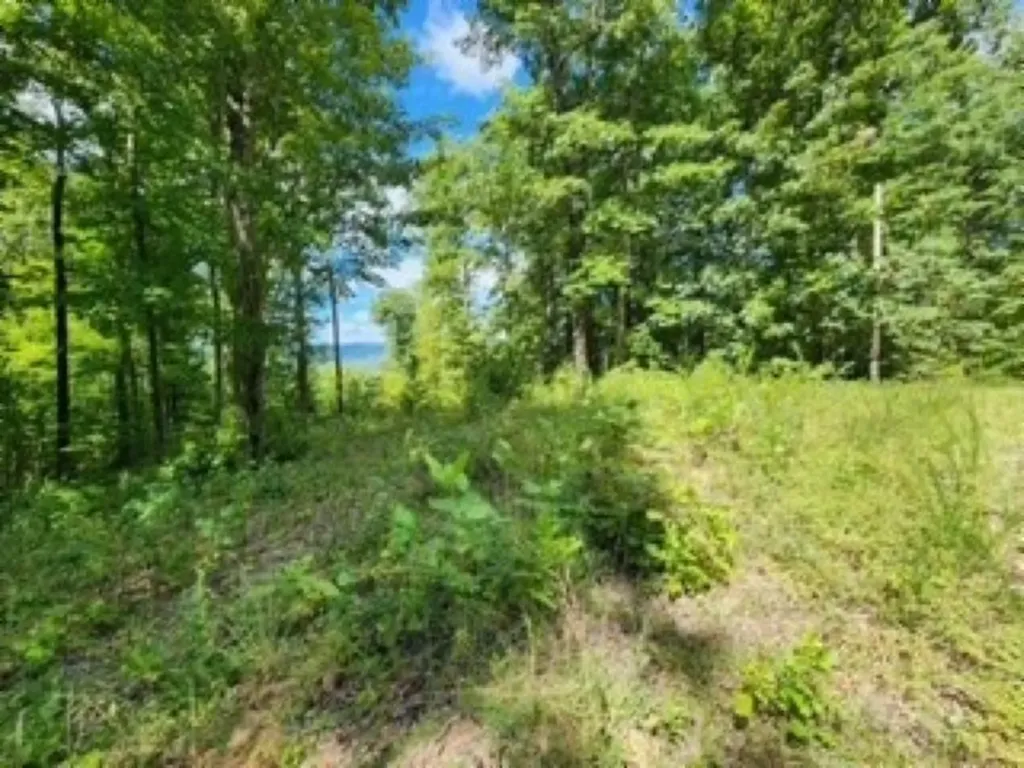Lot 73 Tomahawk Road Jamestown TN 38556
