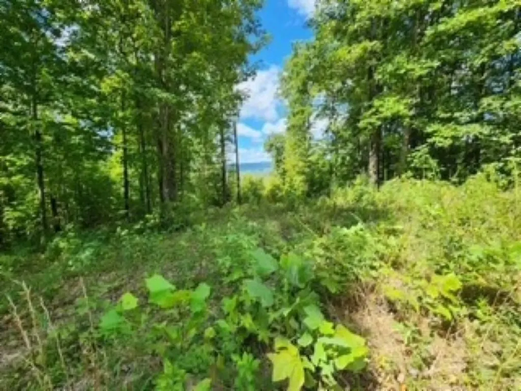 Lot 73 Tomahawk Road Jamestown TN 38556