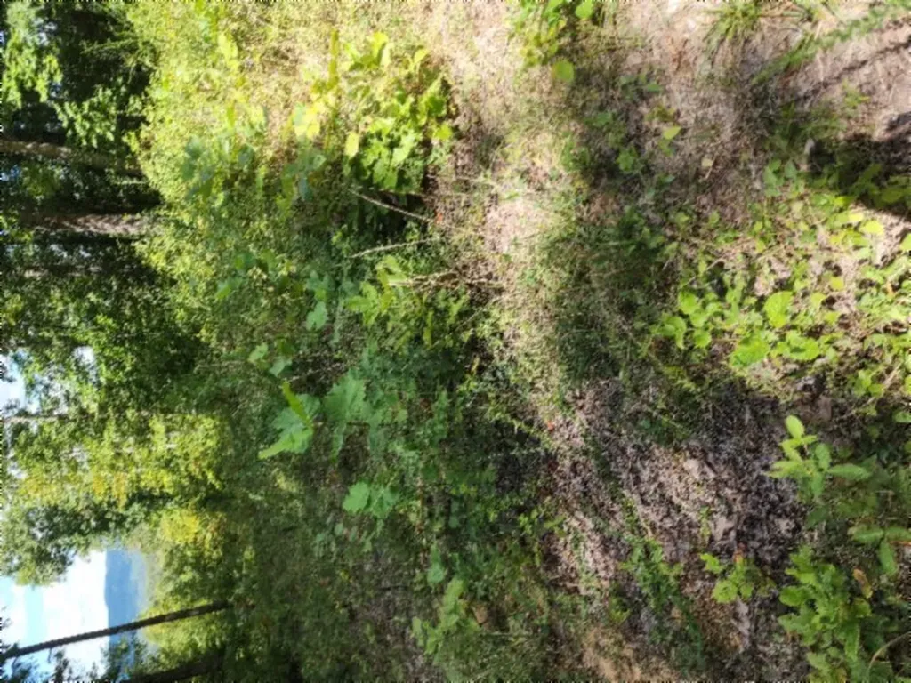 Lot 73 Tomahawk Road Jamestown TN 38556