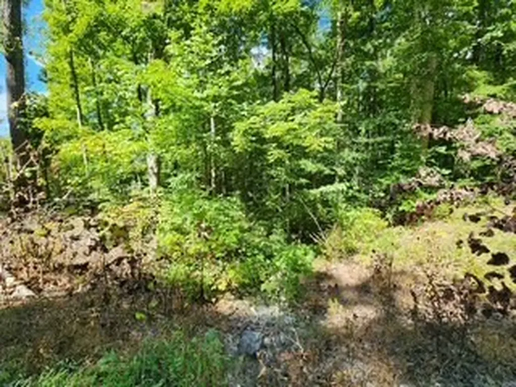 14.34AC Tomahawk Road Jamestown TN 38556