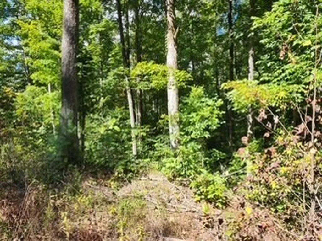 14.34AC Tomahawk Road Jamestown TN 38556
