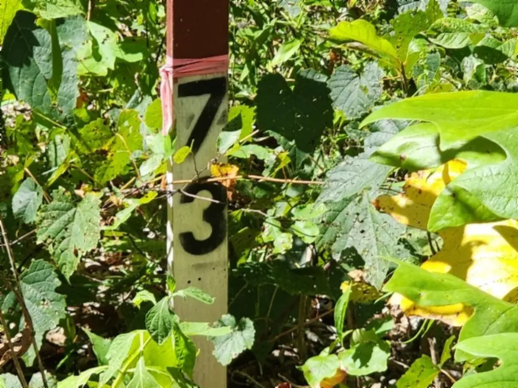 14.34AC Tomahawk Road Jamestown TN 38556