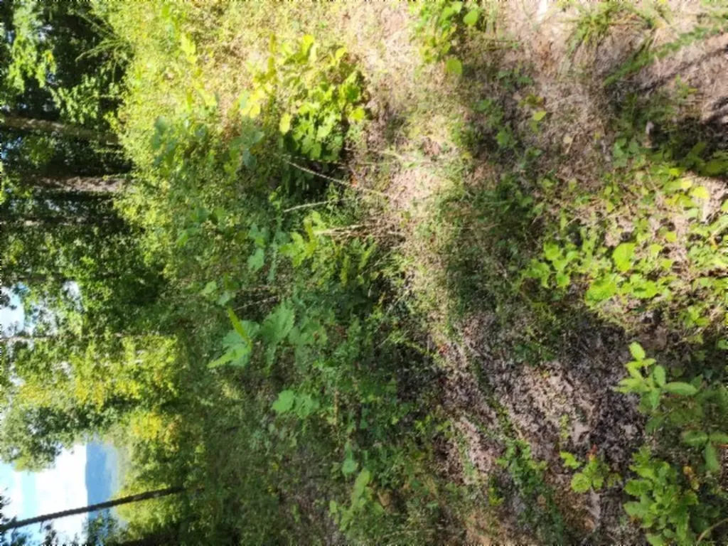14.34AC Tomahawk Road Jamestown TN 38556