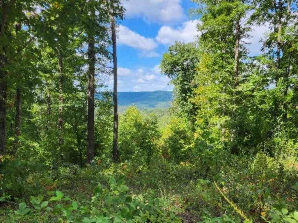 14.34AC Tomahawk Road Jamestown TN 38556