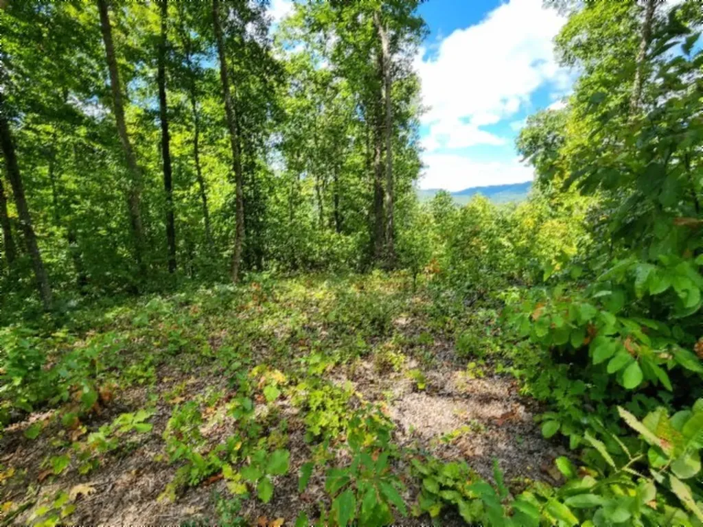 14.34AC Tomahawk Road Jamestown TN 38556