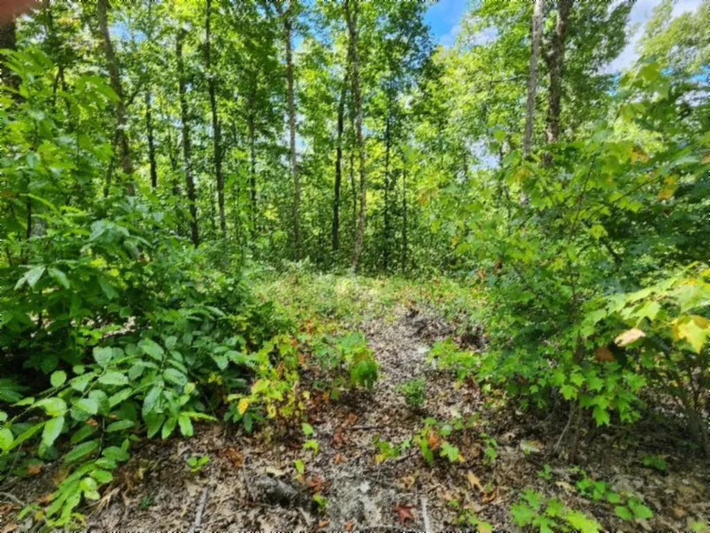 14.34AC Tomahawk Road Jamestown TN 38556