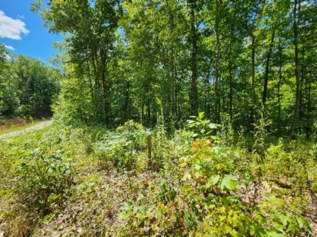 14.34AC Tomahawk Road Jamestown TN 38556