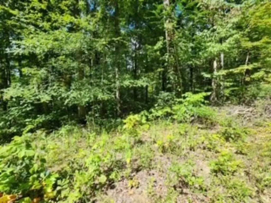 14.34AC Tomahawk Road Jamestown TN 38556